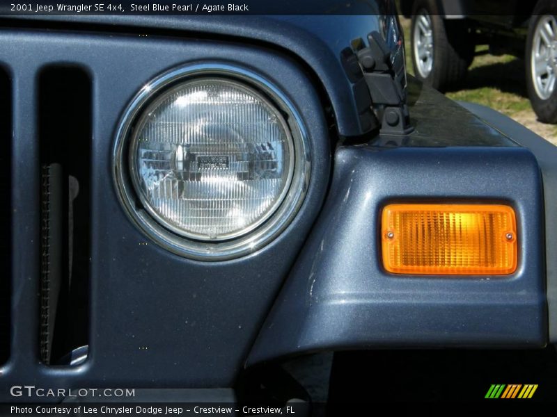 Steel Blue Pearl / Agate Black 2001 Jeep Wrangler SE 4x4