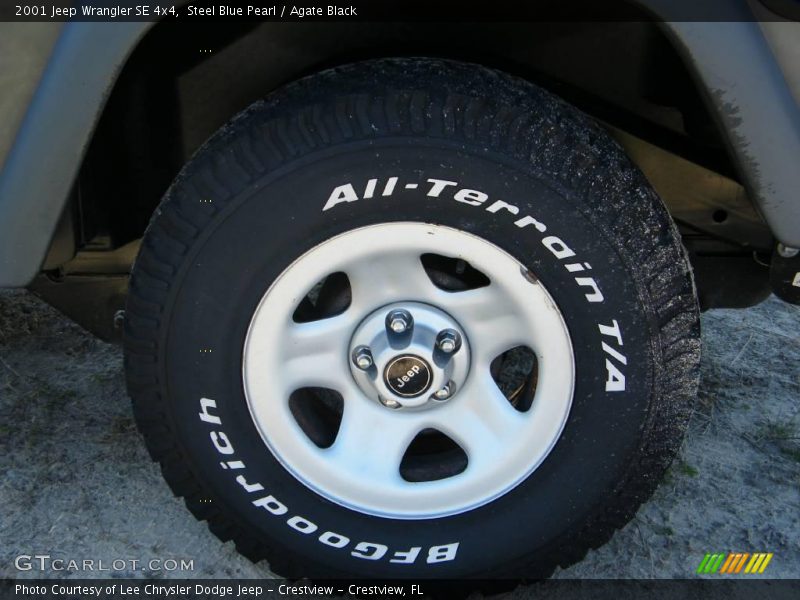 Steel Blue Pearl / Agate Black 2001 Jeep Wrangler SE 4x4