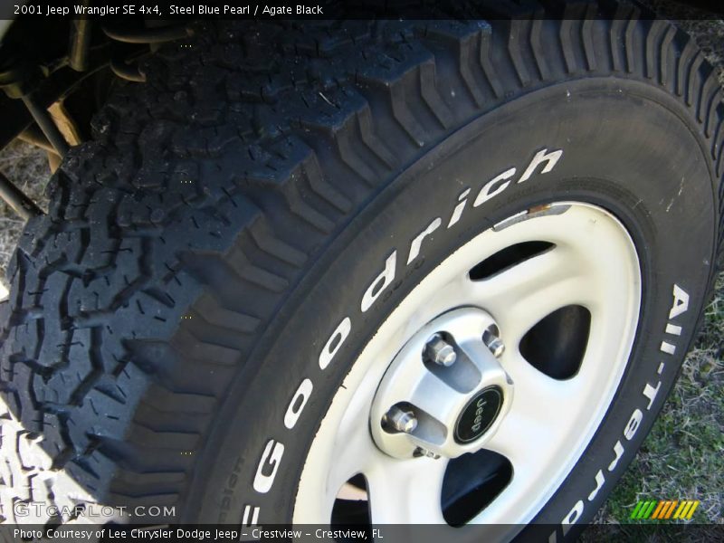 Steel Blue Pearl / Agate Black 2001 Jeep Wrangler SE 4x4