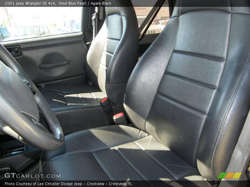 Steel Blue Pearl / Agate Black 2001 Jeep Wrangler SE 4x4