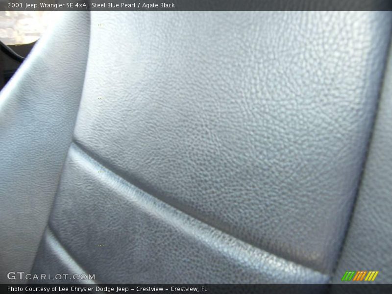 Steel Blue Pearl / Agate Black 2001 Jeep Wrangler SE 4x4