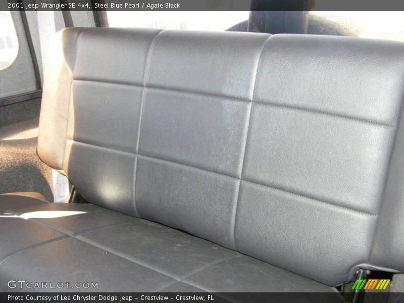 Steel Blue Pearl / Agate Black 2001 Jeep Wrangler SE 4x4