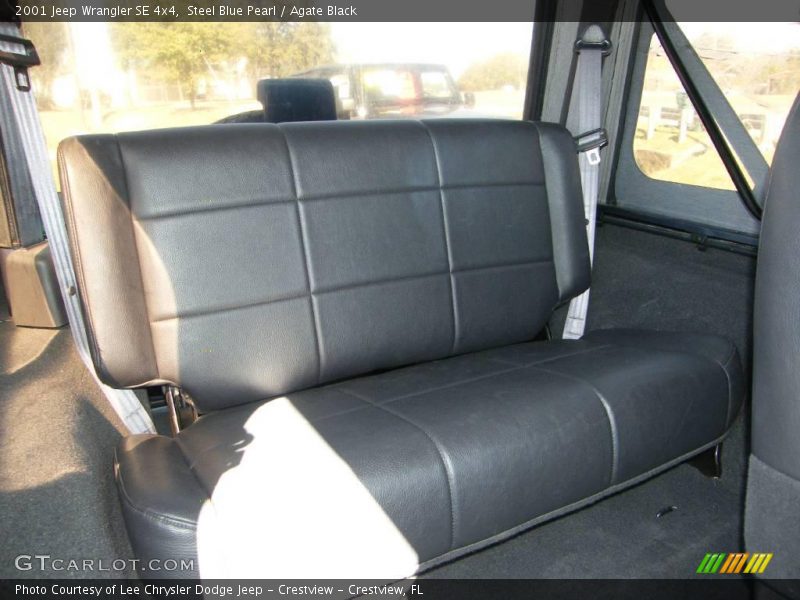 Steel Blue Pearl / Agate Black 2001 Jeep Wrangler SE 4x4