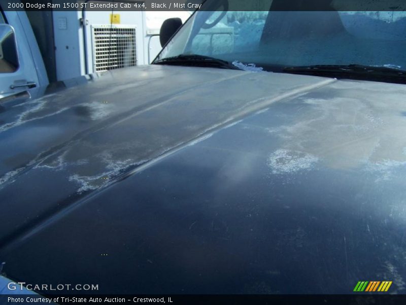 Black / Mist Gray 2000 Dodge Ram 1500 ST Extended Cab 4x4