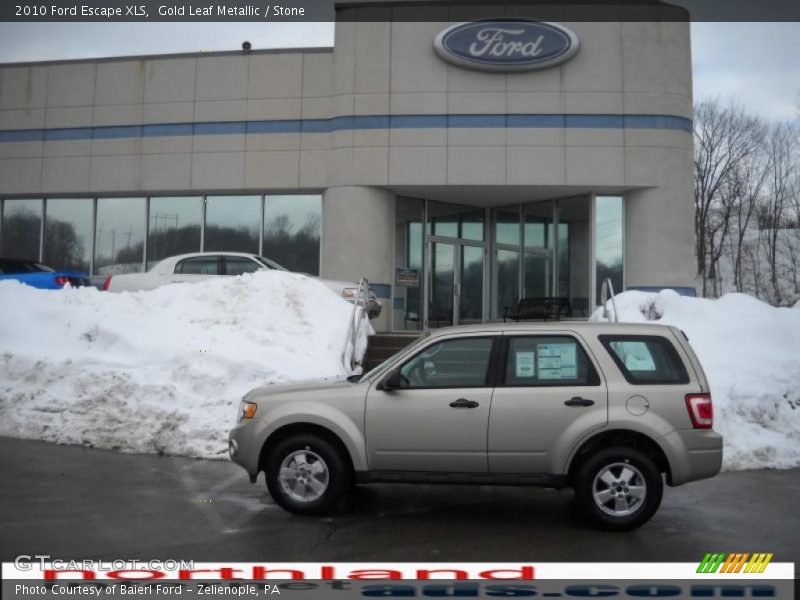 Gold Leaf Metallic / Stone 2010 Ford Escape XLS