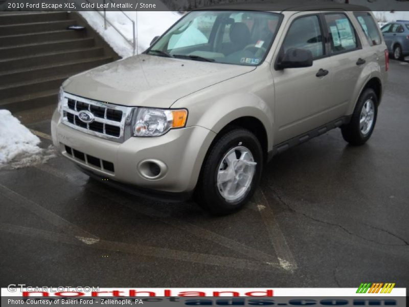 Gold Leaf Metallic / Stone 2010 Ford Escape XLS