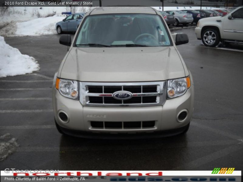 Gold Leaf Metallic / Stone 2010 Ford Escape XLS