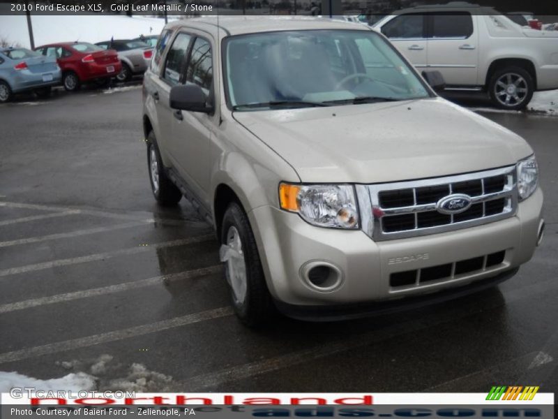 Gold Leaf Metallic / Stone 2010 Ford Escape XLS
