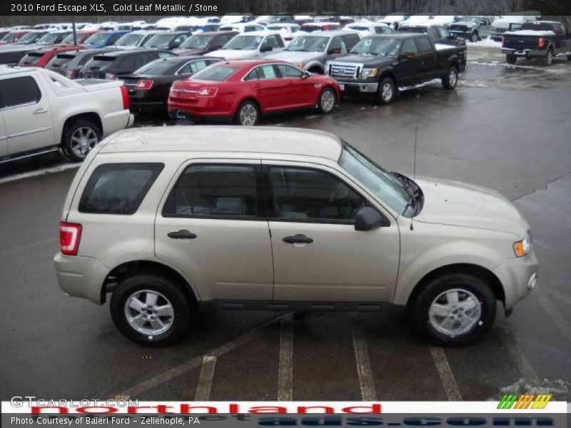 Gold Leaf Metallic / Stone 2010 Ford Escape XLS