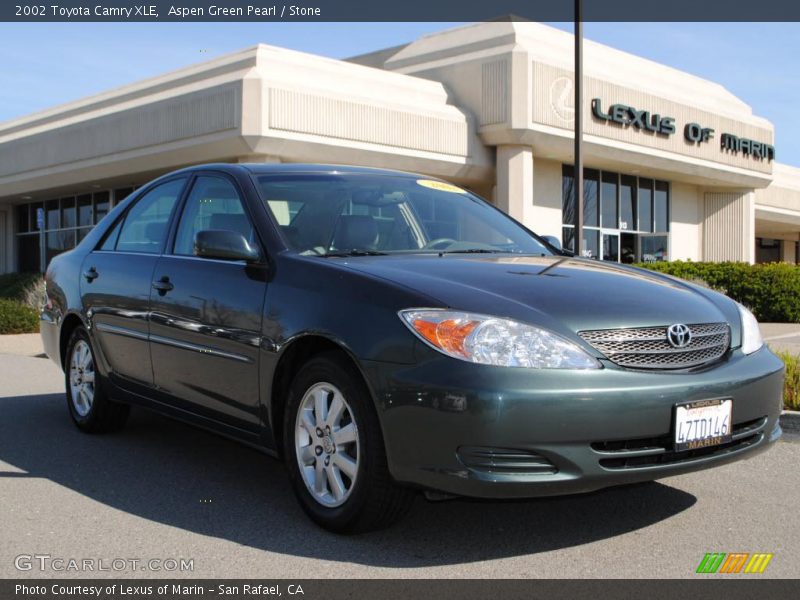 Aspen Green Pearl / Stone 2002 Toyota Camry XLE