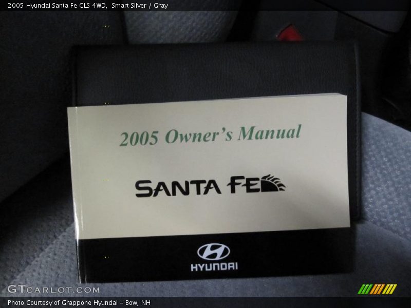 Smart Silver / Gray 2005 Hyundai Santa Fe GLS 4WD