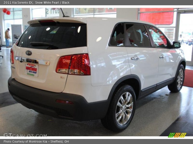 Snow White Pearl / Black 2011 Kia Sorento EX
