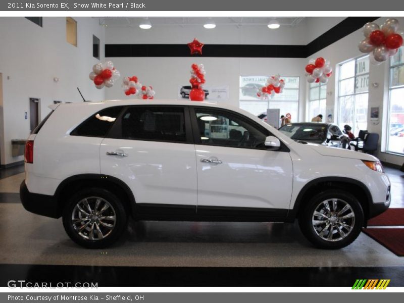 Snow White Pearl / Black 2011 Kia Sorento EX