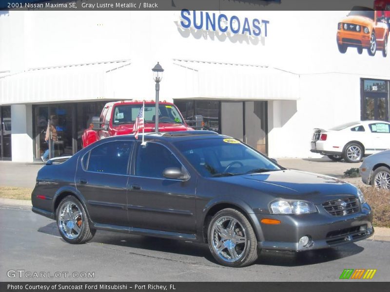 Gray Lustre Metallic / Black 2001 Nissan Maxima SE