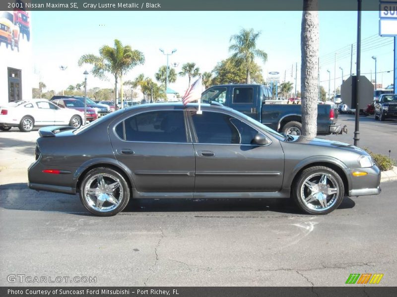 Gray Lustre Metallic / Black 2001 Nissan Maxima SE