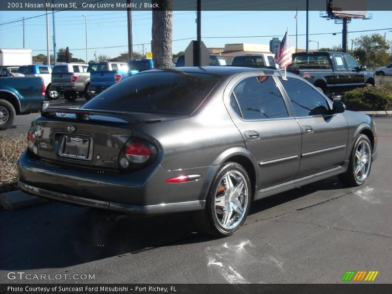 Gray Lustre Metallic / Black 2001 Nissan Maxima SE