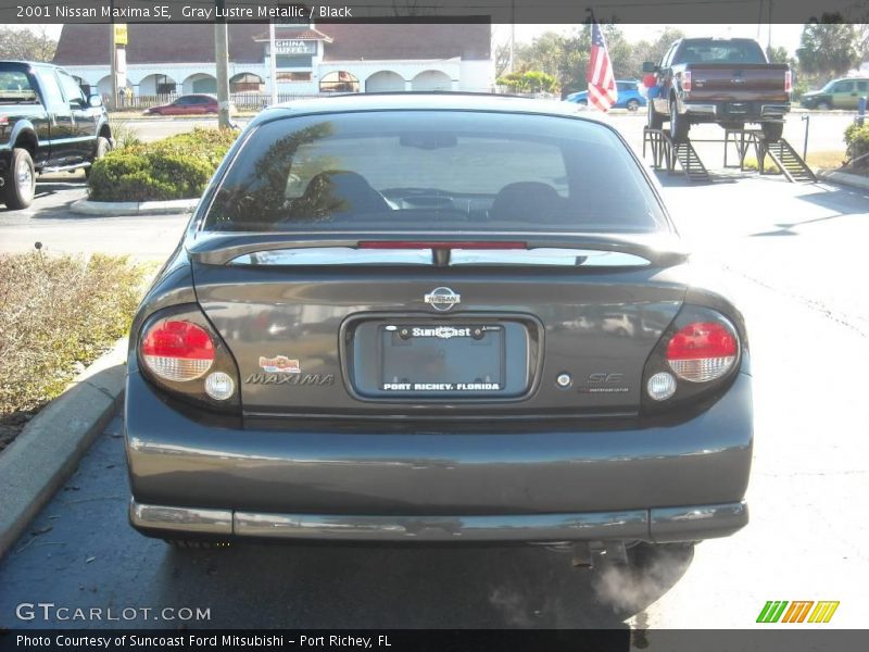 Gray Lustre Metallic / Black 2001 Nissan Maxima SE