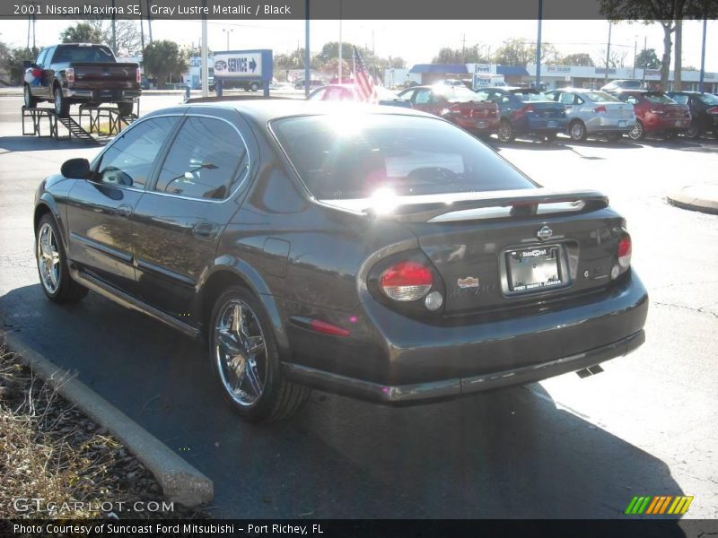 Gray Lustre Metallic / Black 2001 Nissan Maxima SE
