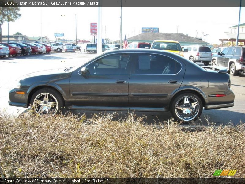 Gray Lustre Metallic / Black 2001 Nissan Maxima SE