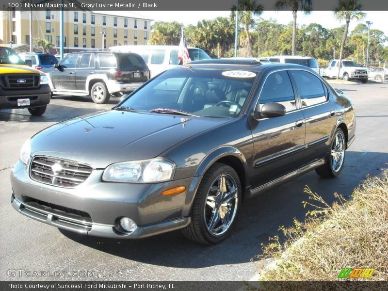 Gray Lustre Metallic / Black 2001 Nissan Maxima SE