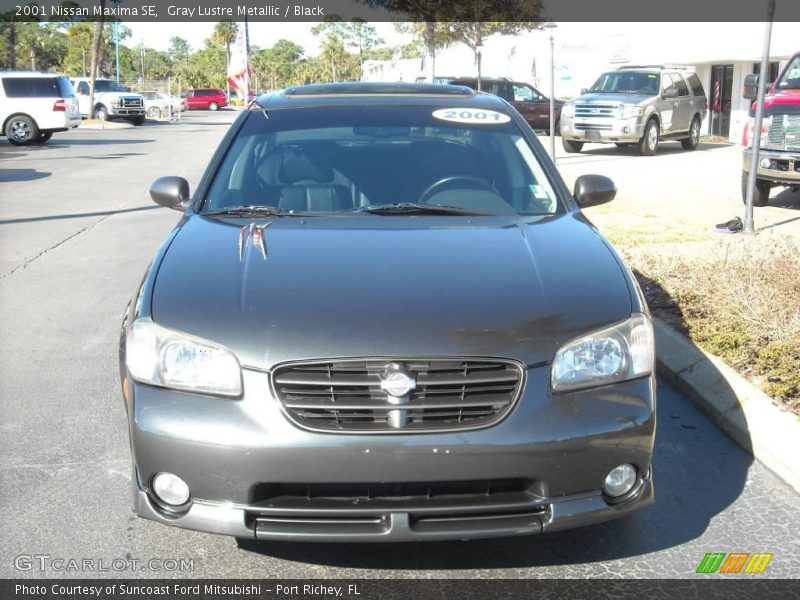 Gray Lustre Metallic / Black 2001 Nissan Maxima SE