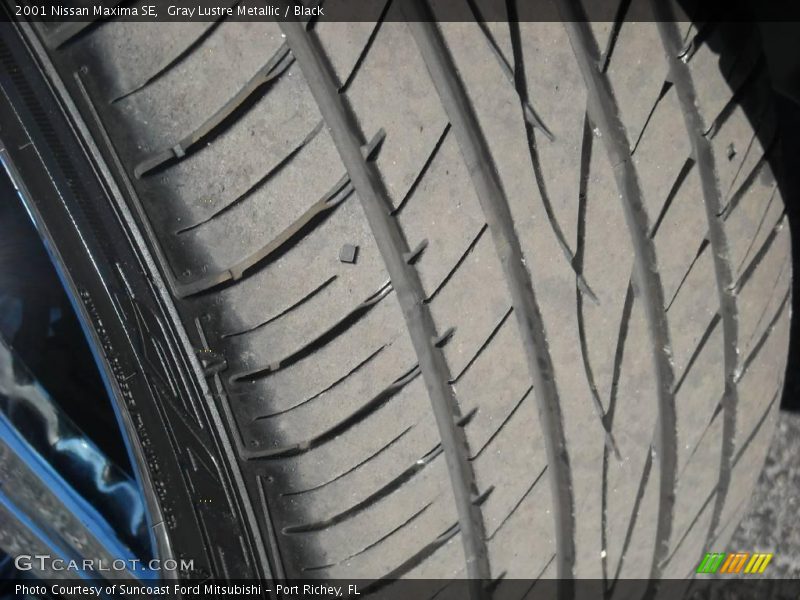 Gray Lustre Metallic / Black 2001 Nissan Maxima SE