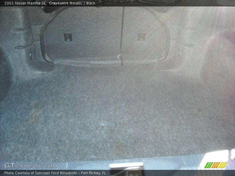 Gray Lustre Metallic / Black 2001 Nissan Maxima SE