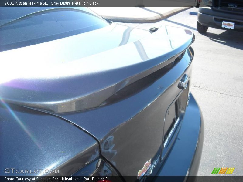 Gray Lustre Metallic / Black 2001 Nissan Maxima SE