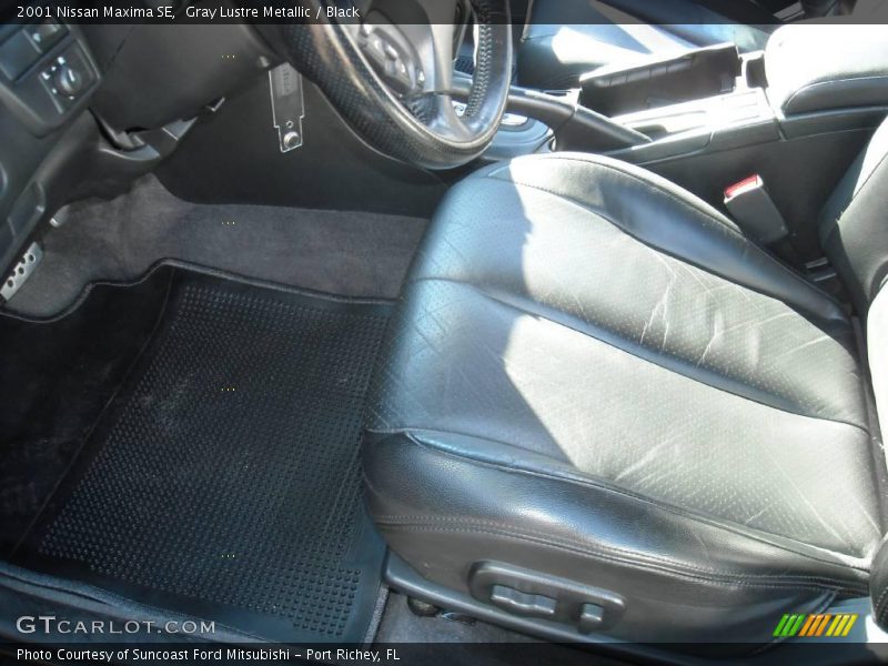 Gray Lustre Metallic / Black 2001 Nissan Maxima SE
