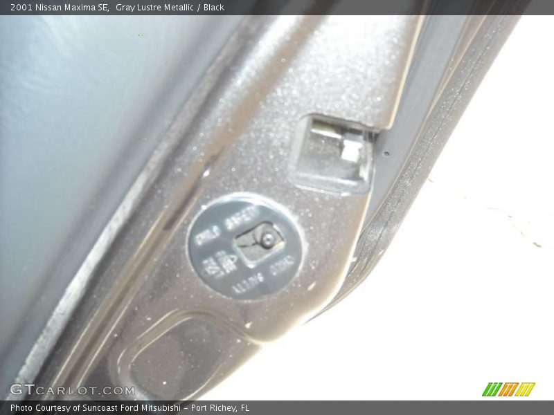 Gray Lustre Metallic / Black 2001 Nissan Maxima SE