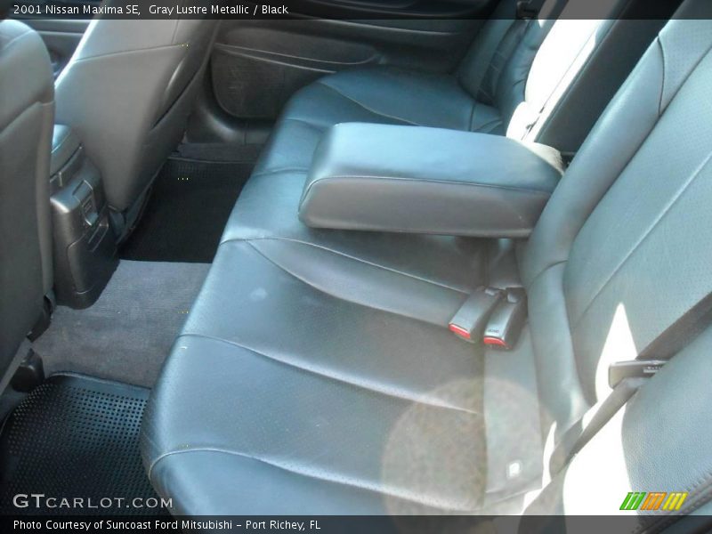 Gray Lustre Metallic / Black 2001 Nissan Maxima SE