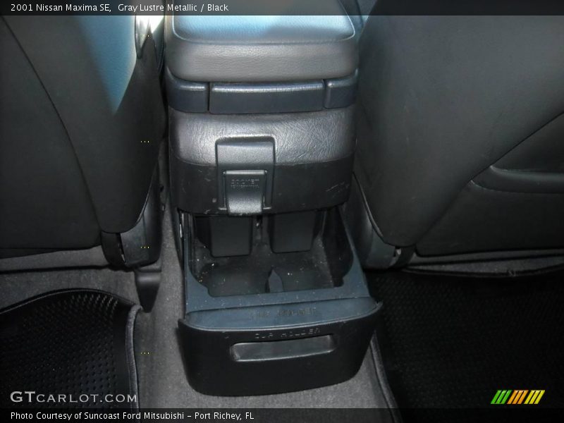 Gray Lustre Metallic / Black 2001 Nissan Maxima SE