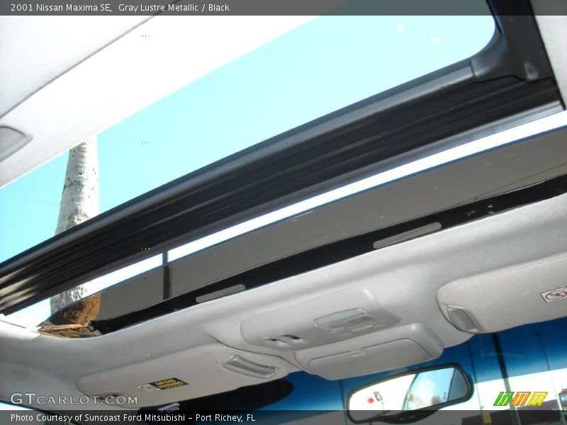 Gray Lustre Metallic / Black 2001 Nissan Maxima SE