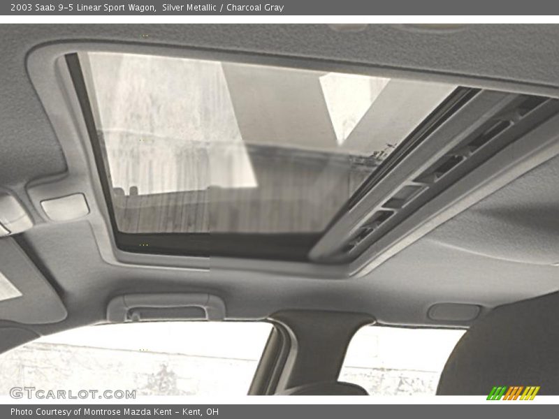 Silver Metallic / Charcoal Gray 2003 Saab 9-5 Linear Sport Wagon