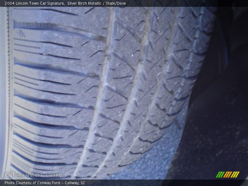 Silver Birch Metallic / Shale/Dove 2004 Lincoln Town Car Signature