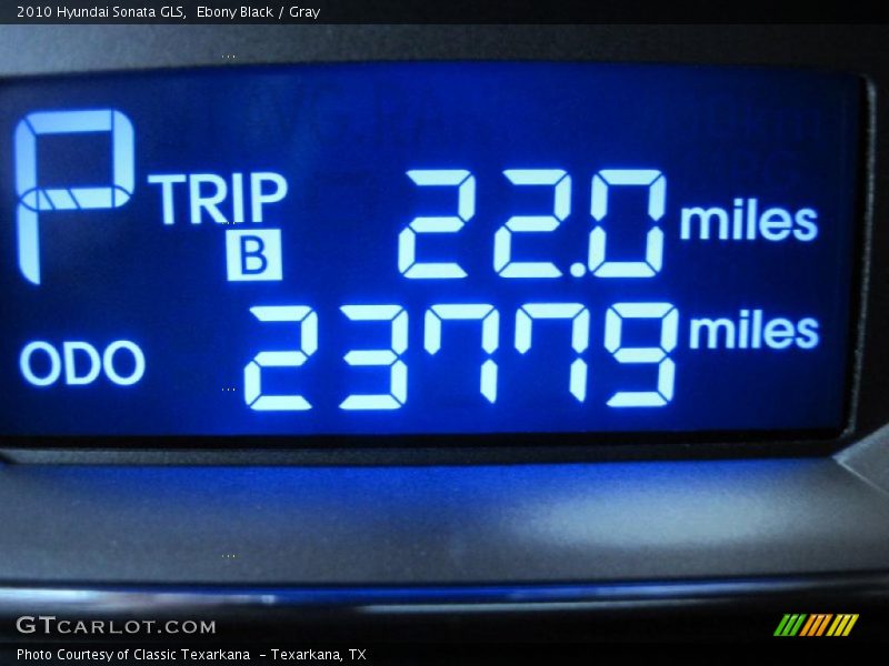 Ebony Black / Gray 2010 Hyundai Sonata GLS