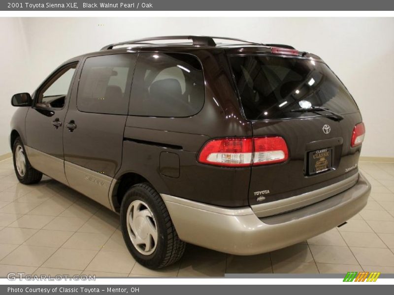Black Walnut Pearl / Oak 2001 Toyota Sienna XLE