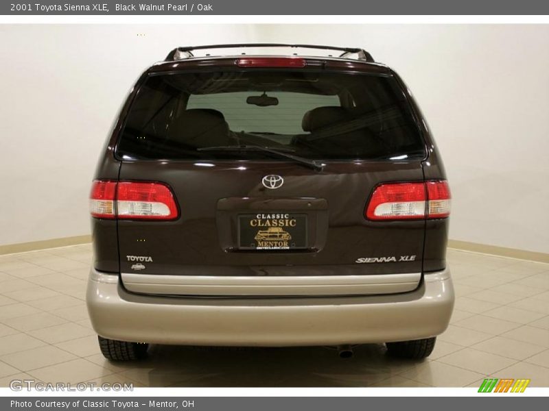 Black Walnut Pearl / Oak 2001 Toyota Sienna XLE