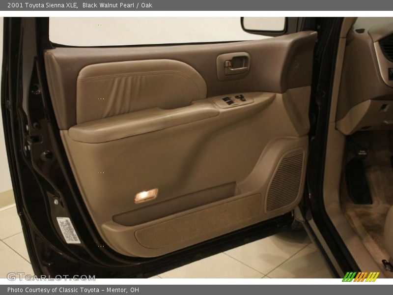 Black Walnut Pearl / Oak 2001 Toyota Sienna XLE