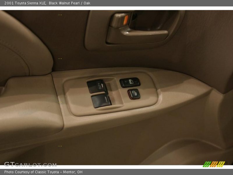 Black Walnut Pearl / Oak 2001 Toyota Sienna XLE