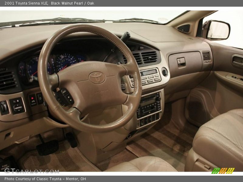 Black Walnut Pearl / Oak 2001 Toyota Sienna XLE