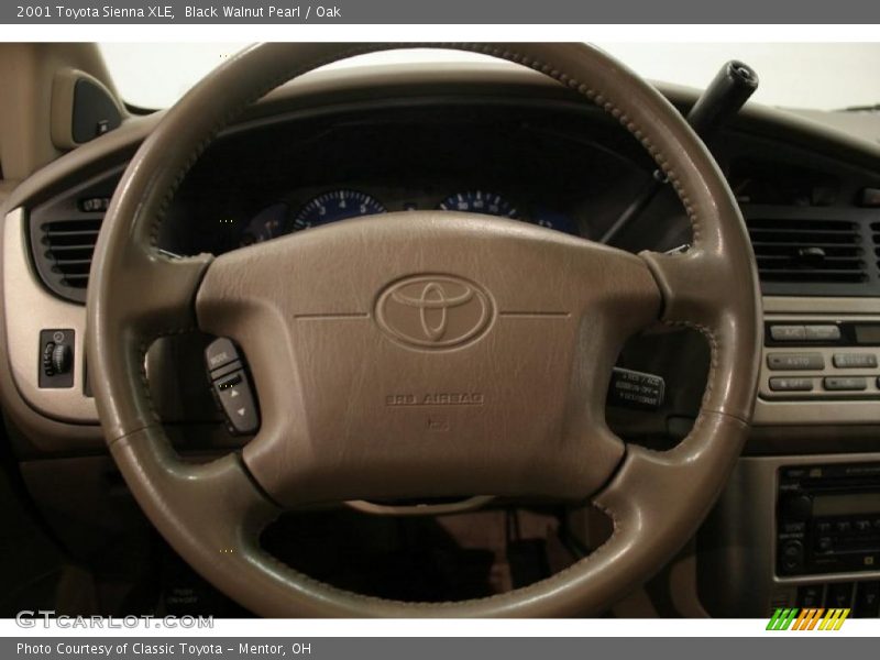 Black Walnut Pearl / Oak 2001 Toyota Sienna XLE