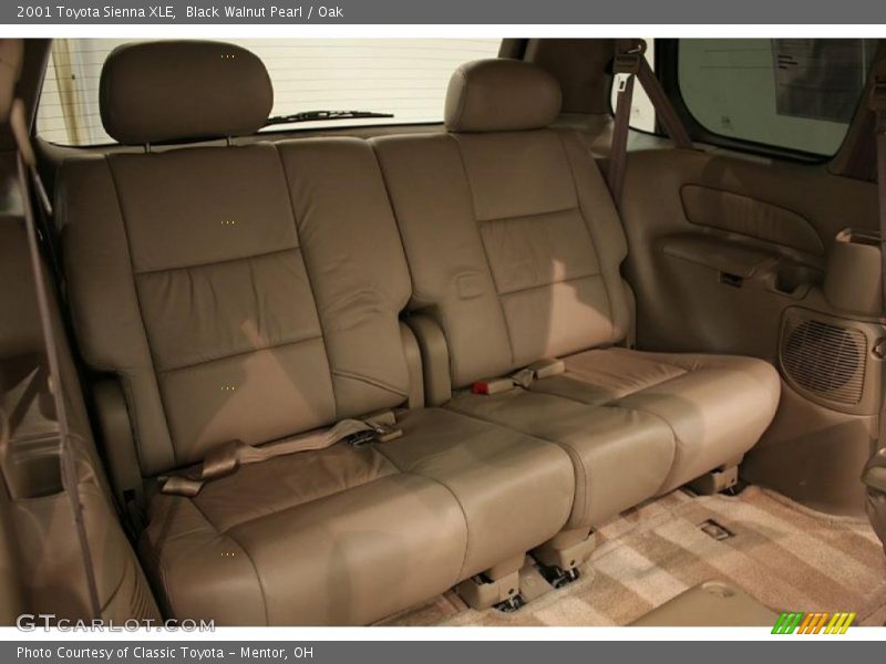 Black Walnut Pearl / Oak 2001 Toyota Sienna XLE