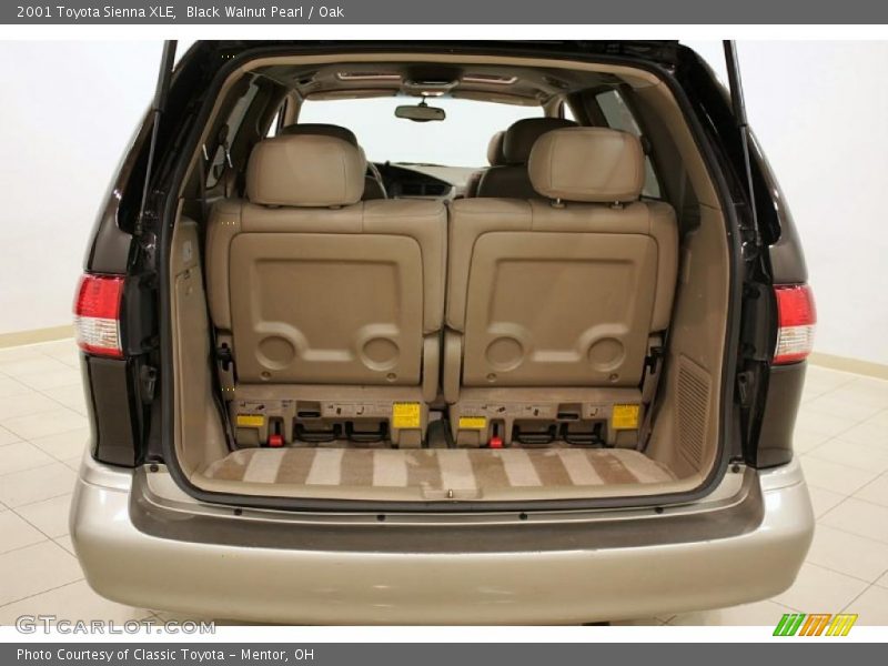 Black Walnut Pearl / Oak 2001 Toyota Sienna XLE