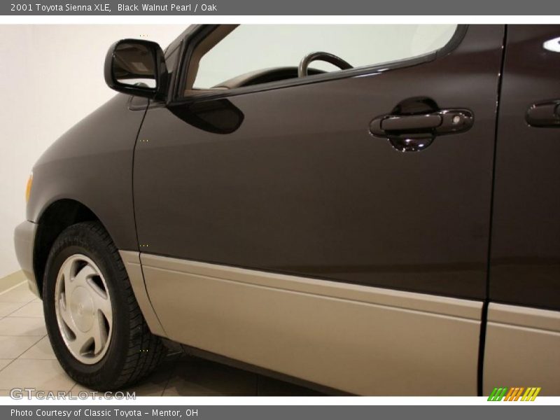Black Walnut Pearl / Oak 2001 Toyota Sienna XLE
