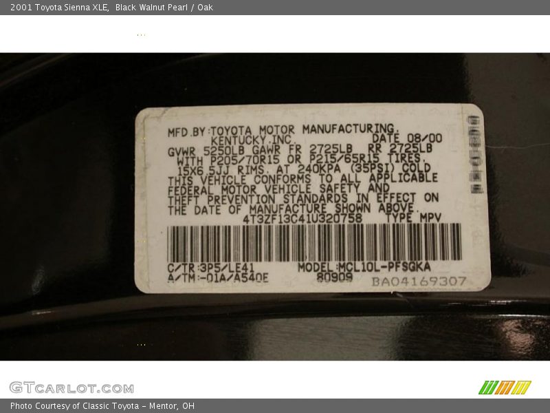 Black Walnut Pearl / Oak 2001 Toyota Sienna XLE