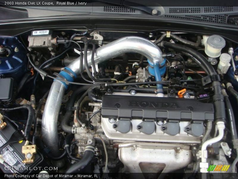 Royal Blue / Ivory 2003 Honda Civic LX Coupe