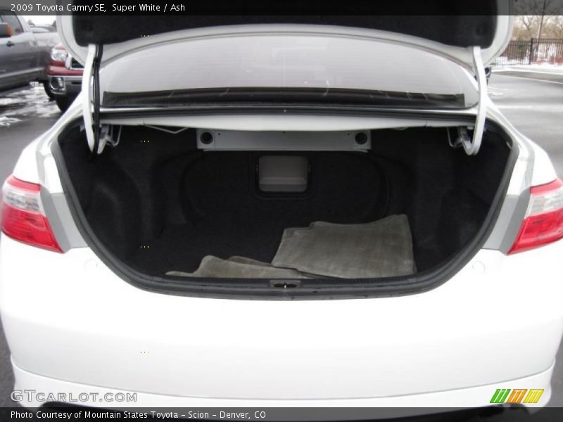 Super White / Ash 2009 Toyota Camry SE