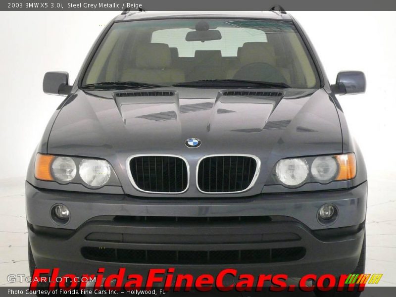 Steel Grey Metallic / Beige 2003 BMW X5 3.0i