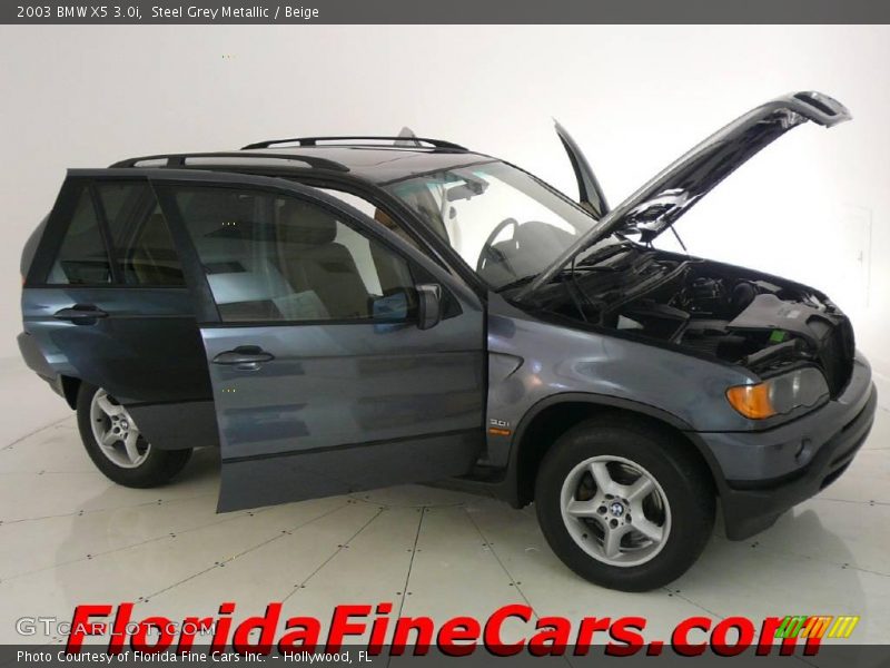 Steel Grey Metallic / Beige 2003 BMW X5 3.0i